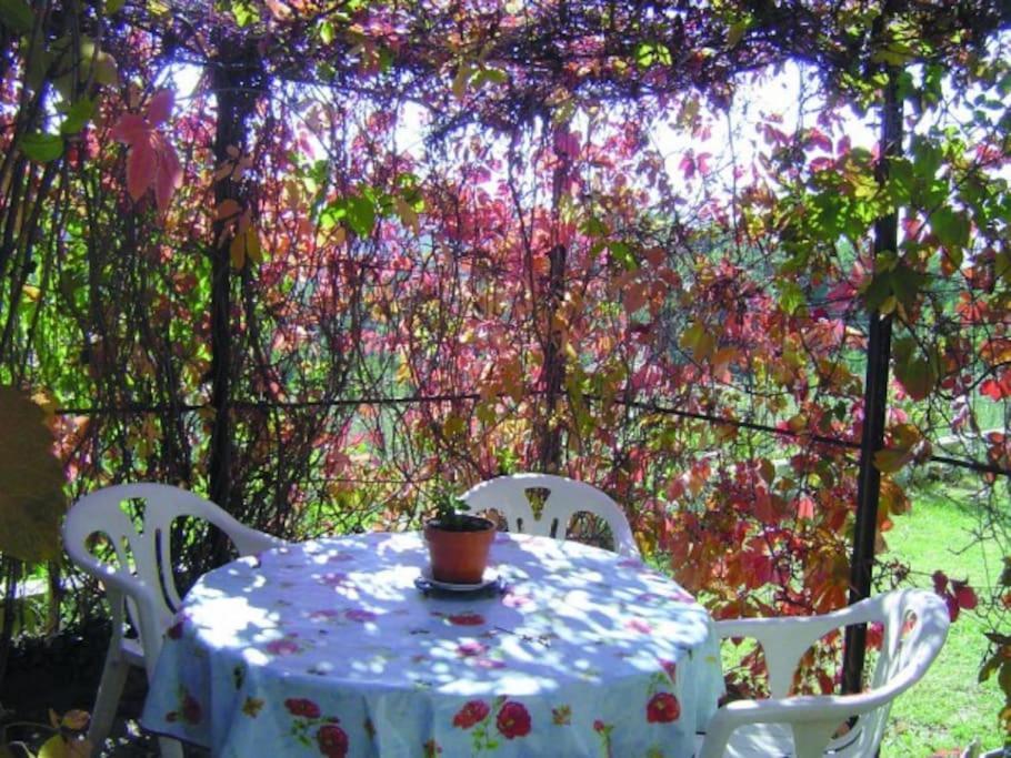 Gite Le Val Des Fees Classes Deux Etoiles Roussillon en Isere Extérieur photo